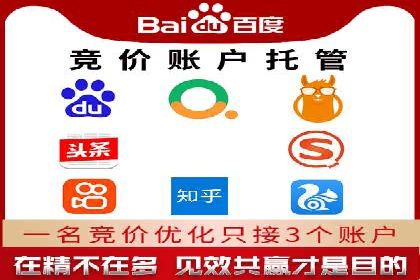 成功SEM推广代运营案例分享