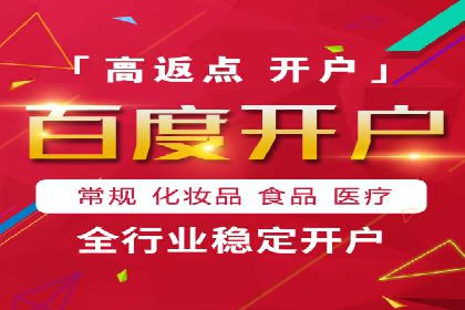 知名SEM运营公司实战案例解析